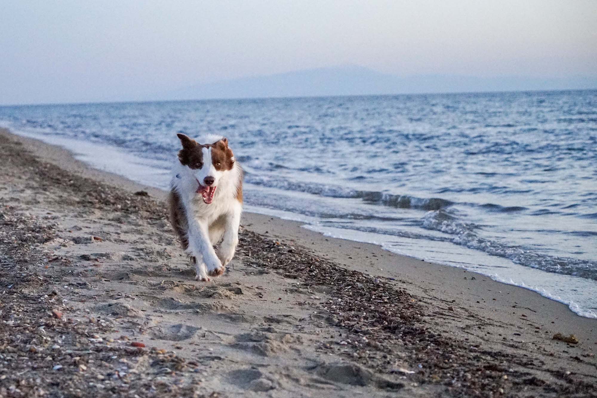 Peak running on a beach in Greece