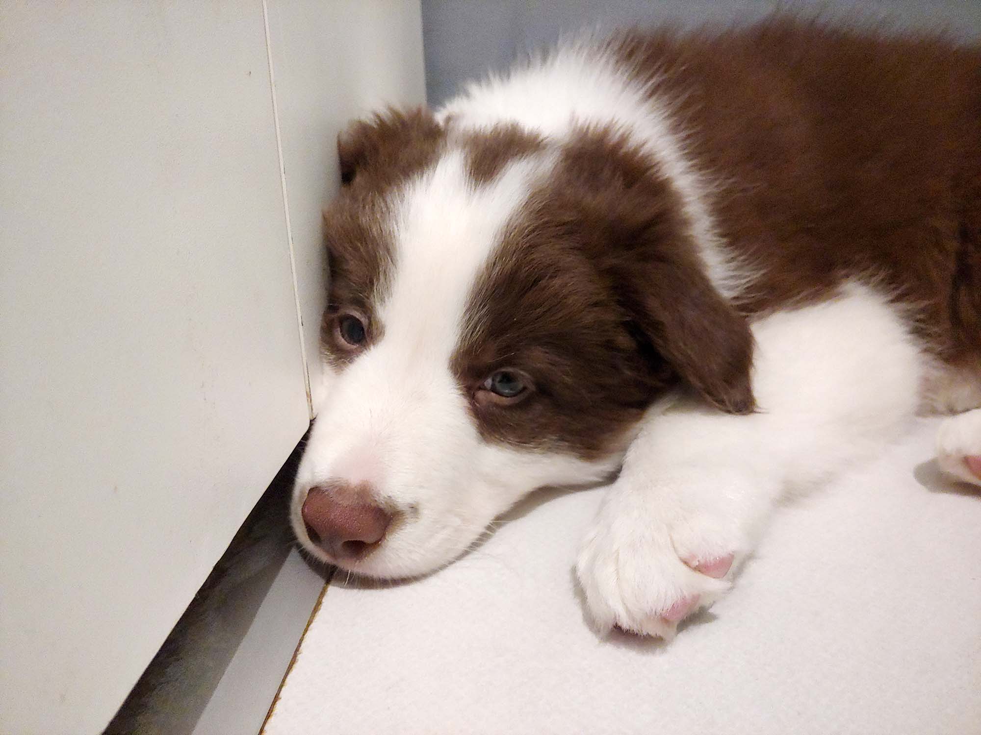 Me sleeping in our kitchen