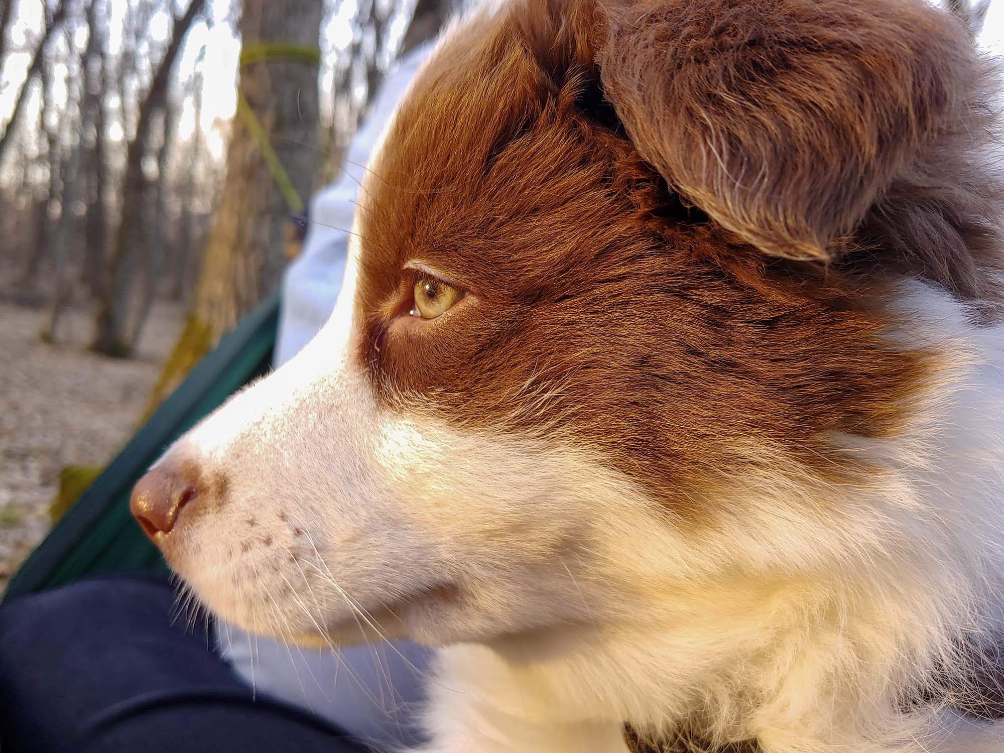 Me spending the day outside for the very first time