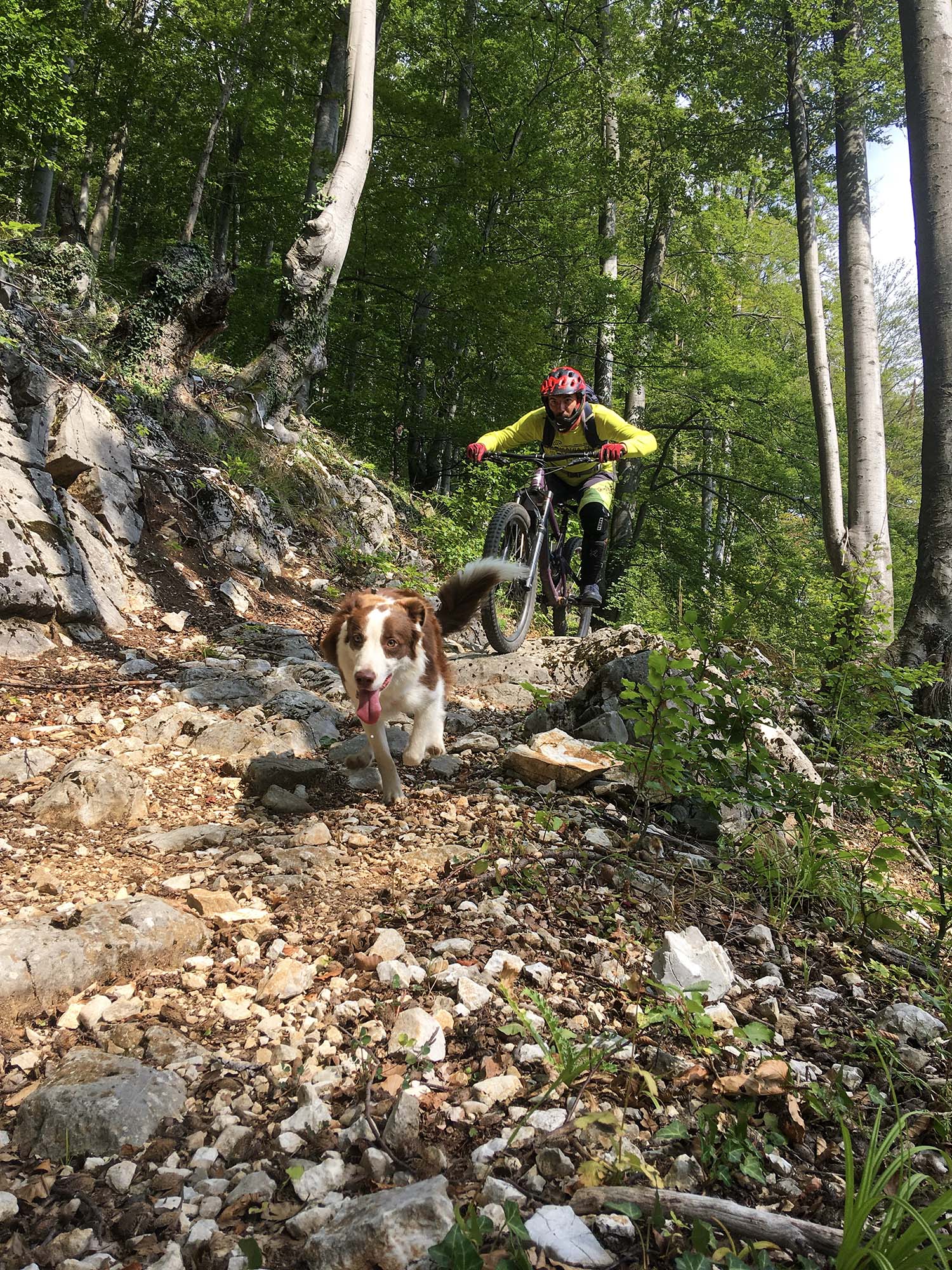 Riding with dad on the rocky trail at Straja