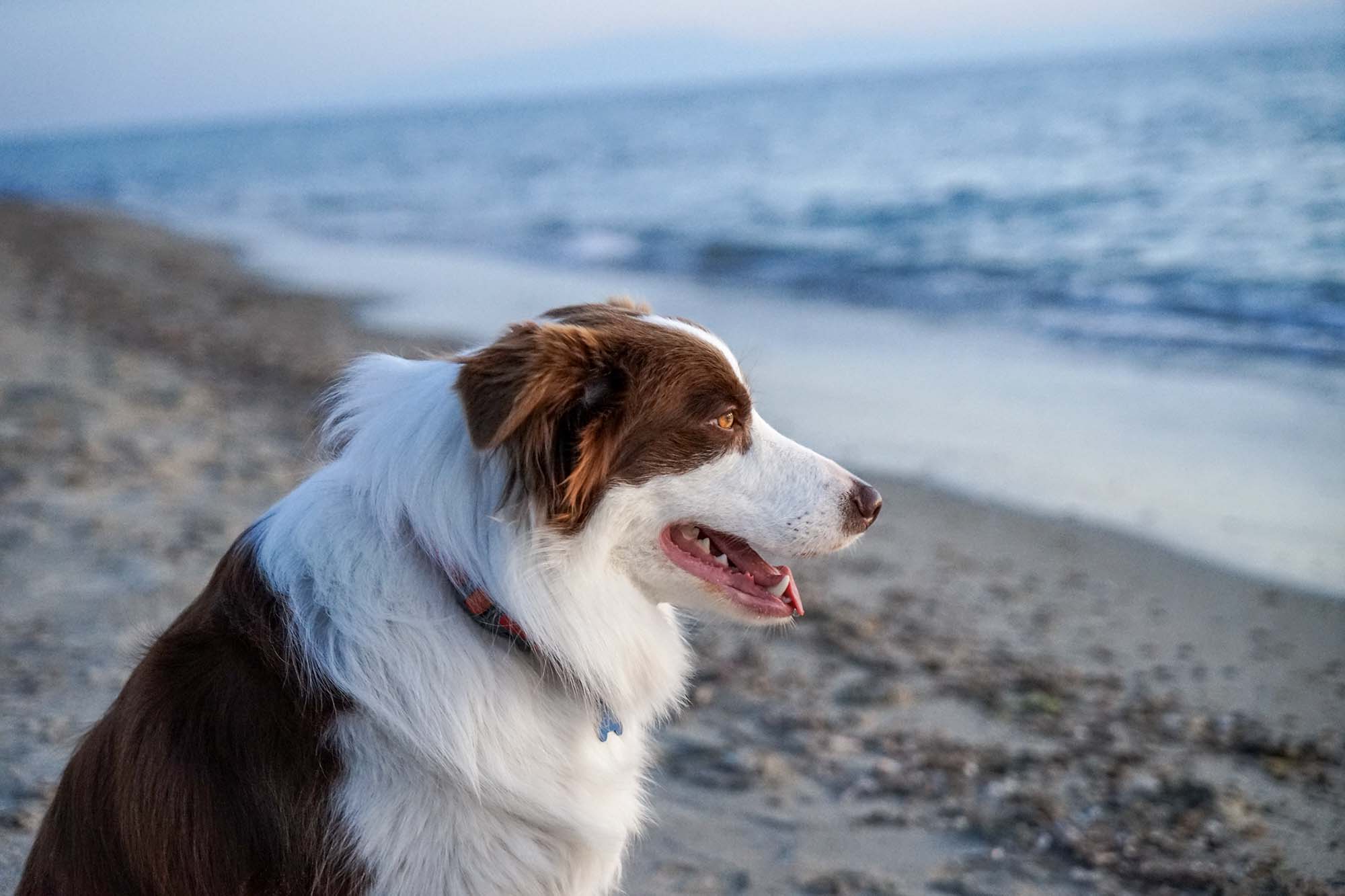 Peak chilling at the beach