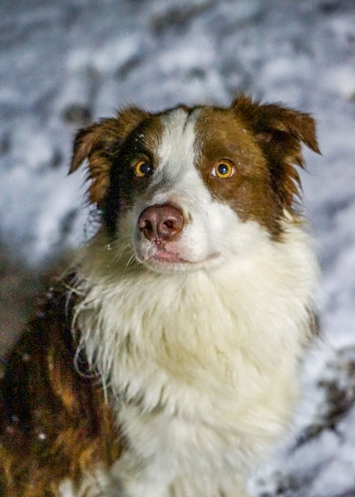 portrait of Peak