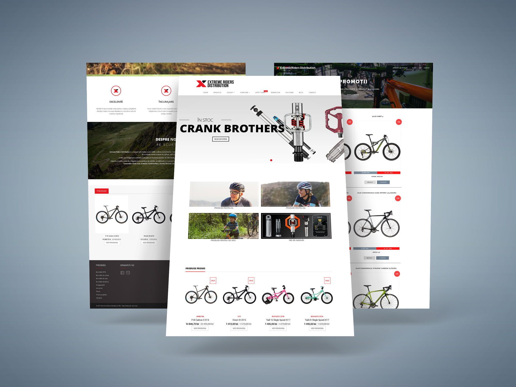 Peak's Designs Traian Mircea Voineagu TMV Extreme Riders - cycling retail revolution mockup